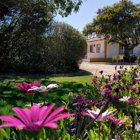 אלדיה דו מקו Casas Das Amoreiras מראה חיצוני תמונה